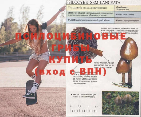 гидра Вязники